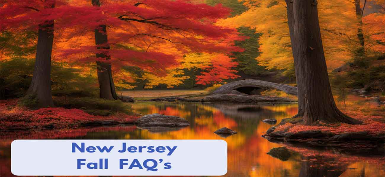 FAQ's To the New Jersey Fall Season