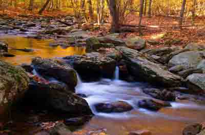 NJ Fall hiking NJ Fall hiking