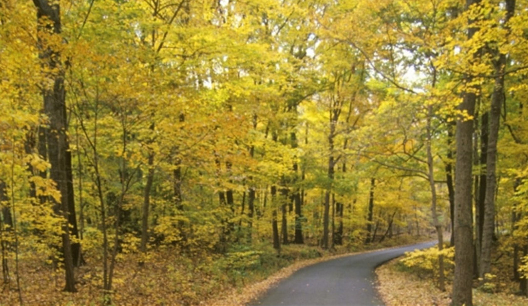 Deleware river scenic yway