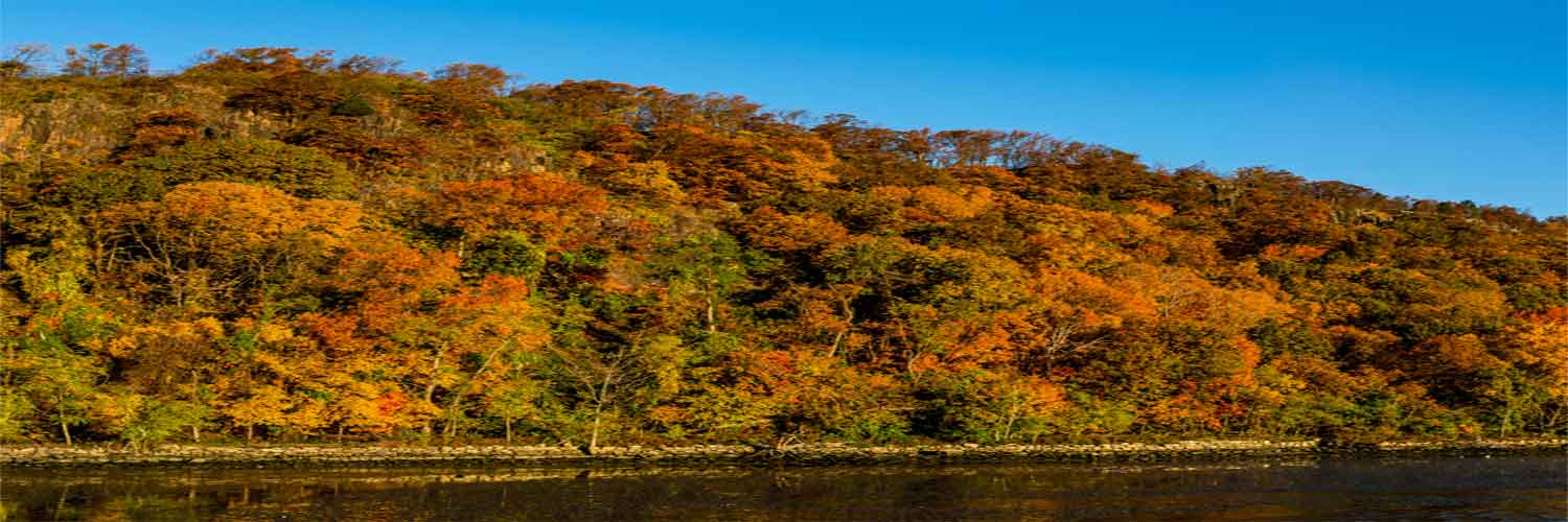 Best NJ Fall Scenic Trips. Discover NJ in the fall with the top scenic drives and things to do