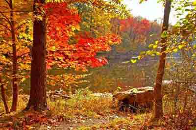 NJ Fall Events, Activities