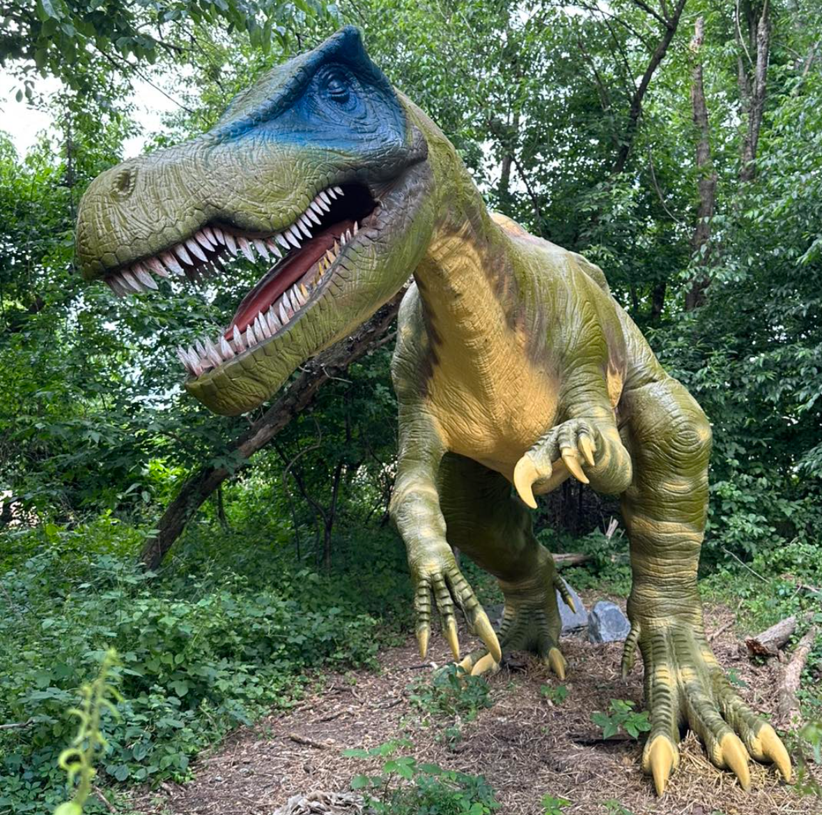 Field Station Dinosours Field Station Dinosours