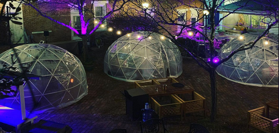 Fig and Lily Garden, Morristown, NJ Fig and Lily Garden, Morristown, NJ