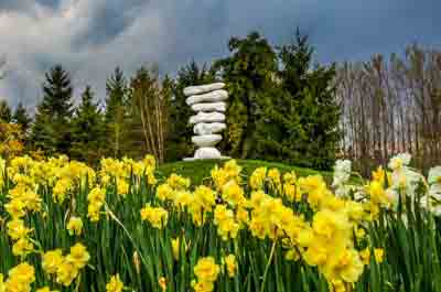 Grounds For Sculpture