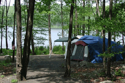 Public Camp Sites