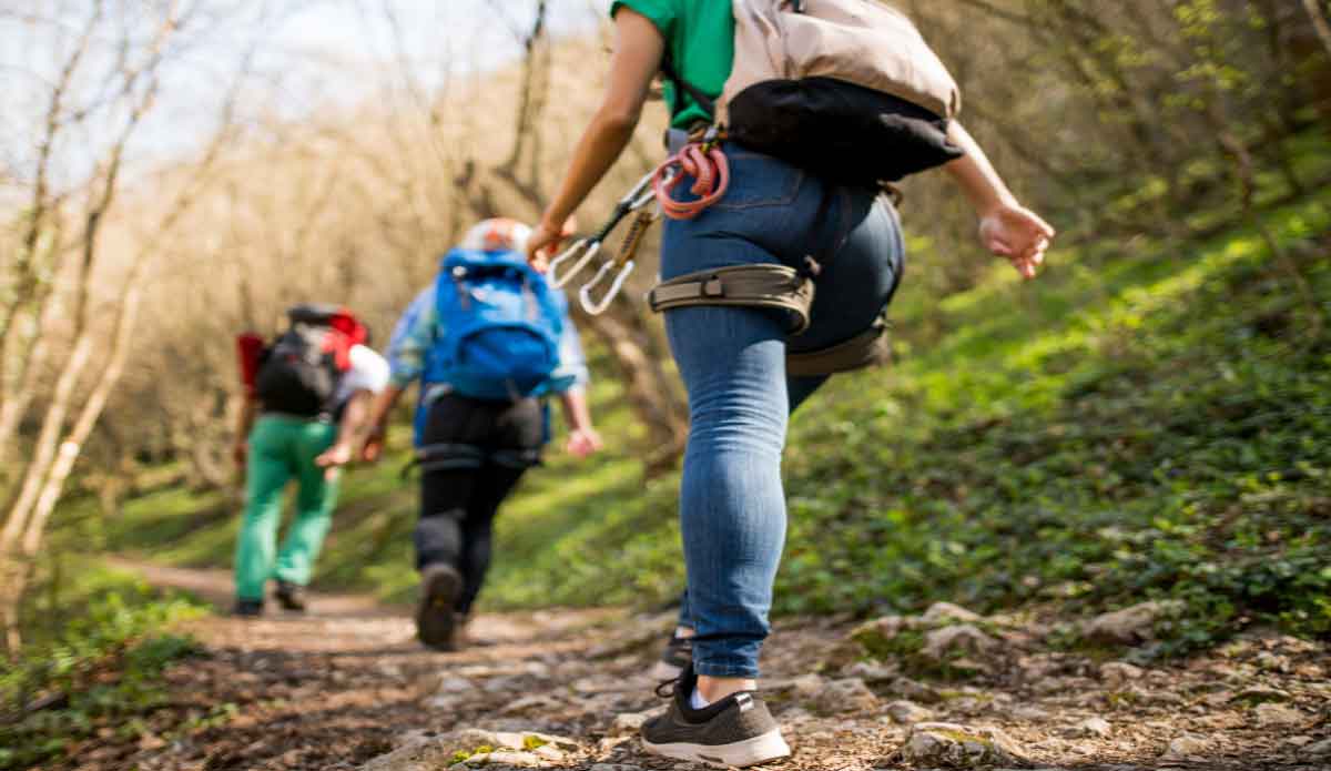 A guide to New Jersey hiking Trails A guide to New Jersey hiking Trails