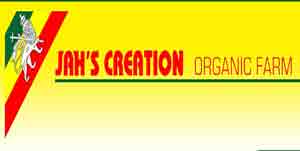 Jah's Creation Organic Farm