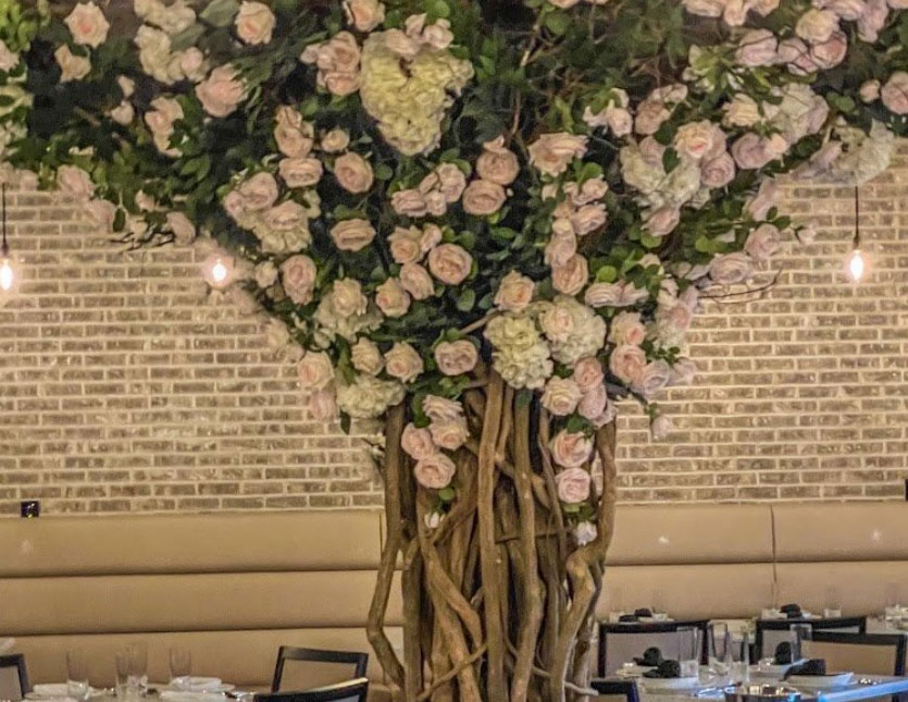 Jasper Stone Italian Steakhouse