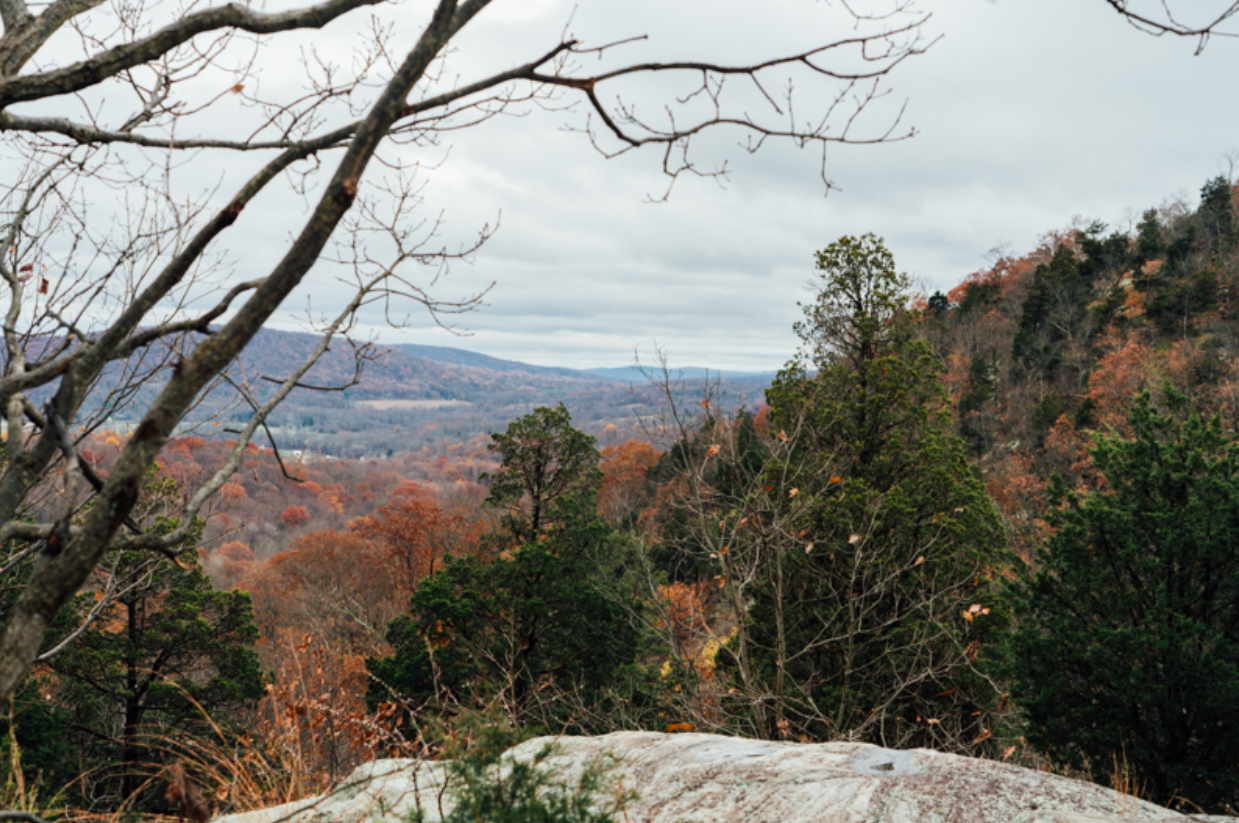Jenny Jump State Park, NJ
