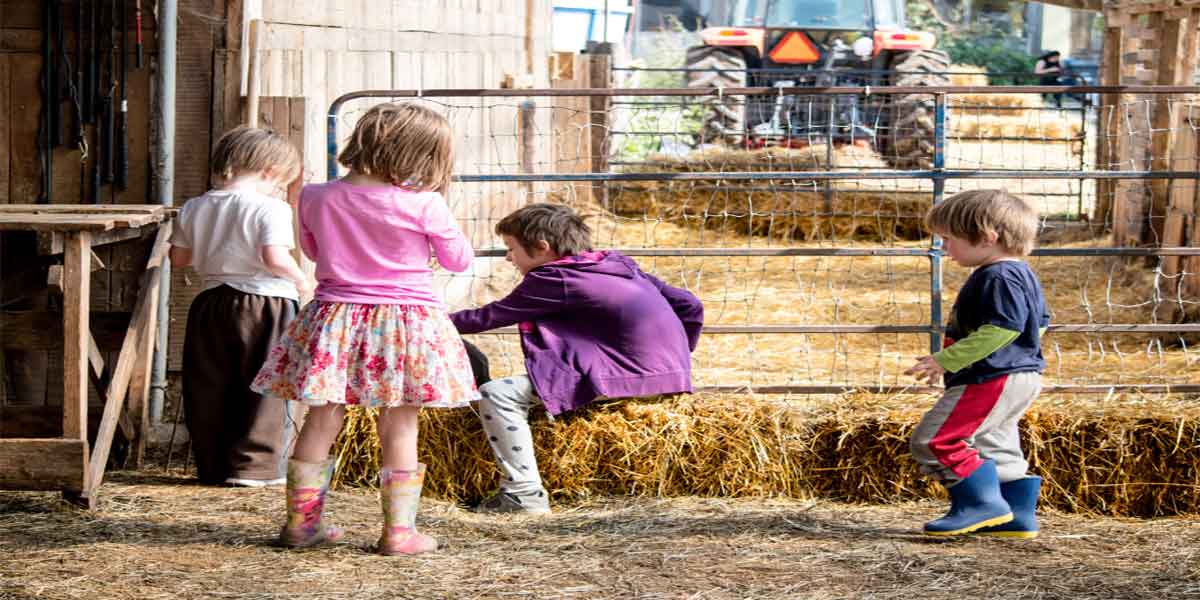 Guide to NJ Kid Friendly Farms
