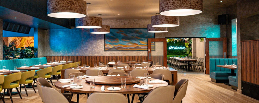 Loaded Spoon - Freehold, NJ Loaded Spoon - Freehold, NJ