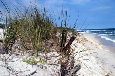 Long Beach Island