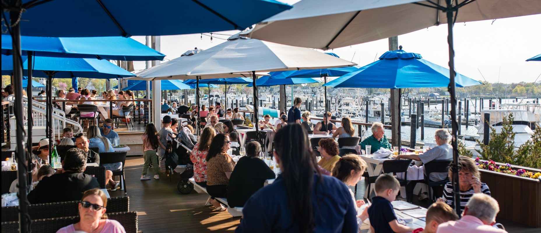 Marina Grille, Belmar, NJ. A dining review