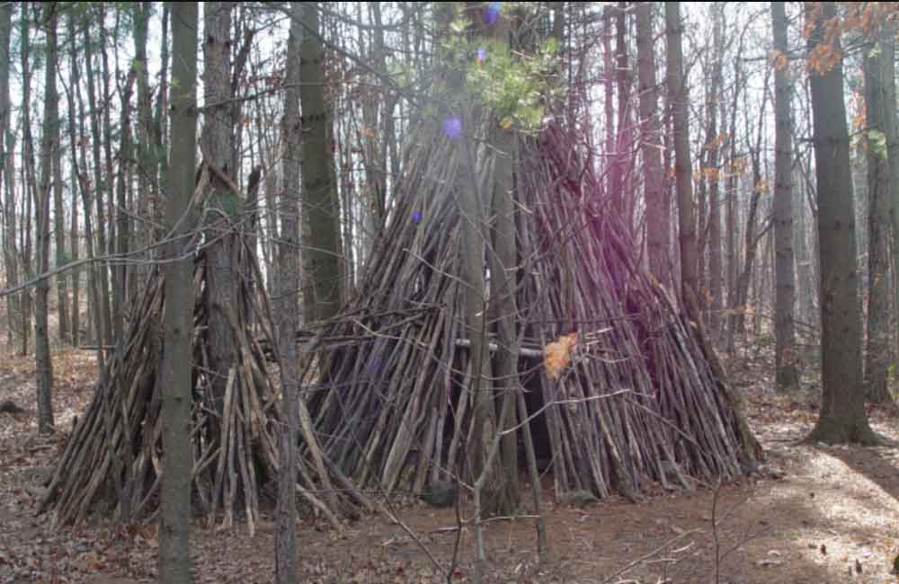 Mills reservation, NJ. Bird watching center Mills reservation, NJ. Bird watching center