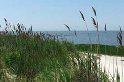 The Best NJ Attractions