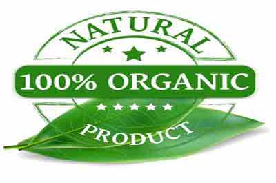 Organic Food Stores