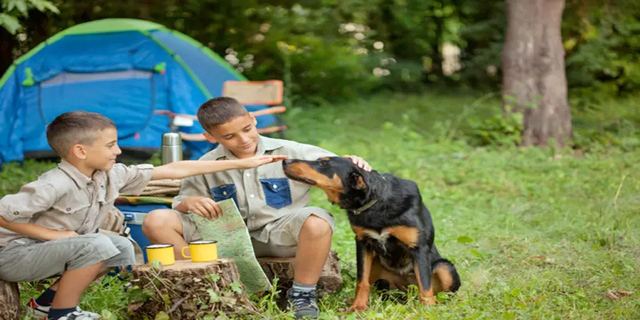 Pet Friendly Camping Sites in New Jersey