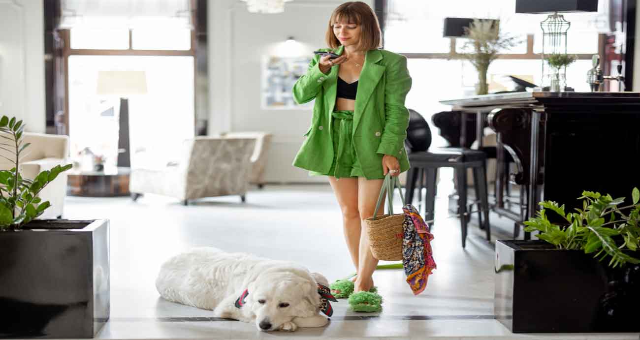 Guide to NJ Pet Friendly hotels