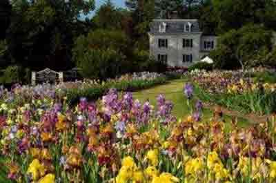 Presby Memorial Iris Gardens