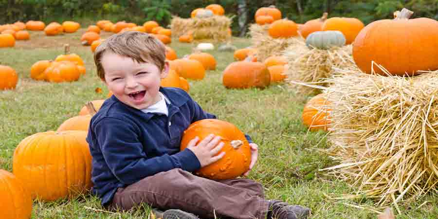 Pumpkin Picking Farms in New Jersey