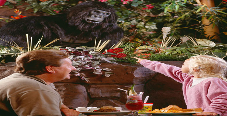 Rainforest Cafe Menlo Park Menu Rainforest Cafe Menlo Park Menu