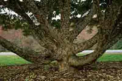 rancocas senior dating site Senior dating has become a very popular pastime that is gaining more and more attention and recognition, especially single senior dating for jewish. rancocas senior dating site Senior dating has become a very popular pastime that is gaining more and more attention and recognition, especially single senior dating for jewish.