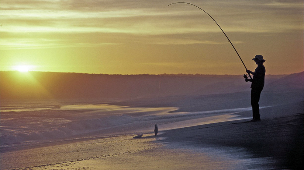 New Jersey Salt Water Fishing New Jersey Salt Water Fishing