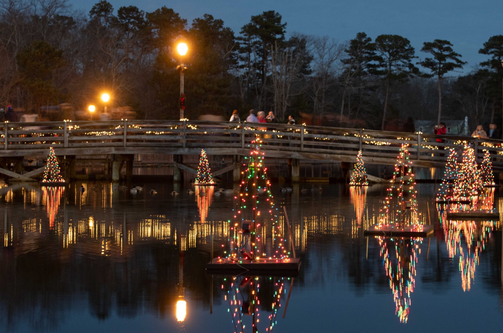 Smithville Christmas Light show