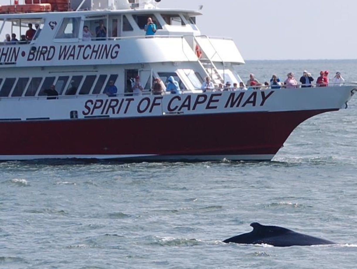 The Spirit of Cape May The Spirit of Cape May