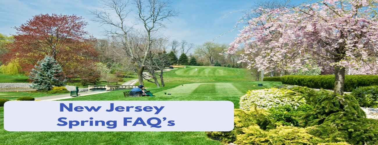 FAQ's for spring time in New Jersey FAQ's for spring time in New Jersey