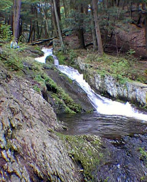 Camping The Best Public Nj State Managed Parks