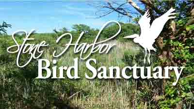 Stone Harbor Bird Sanctuary