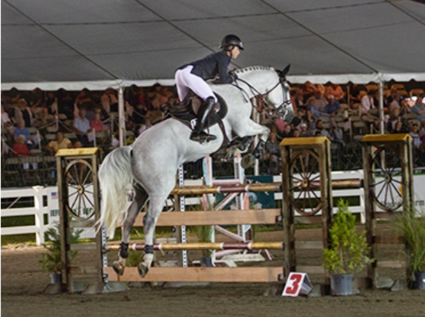 Sussex County Fam Horse Show