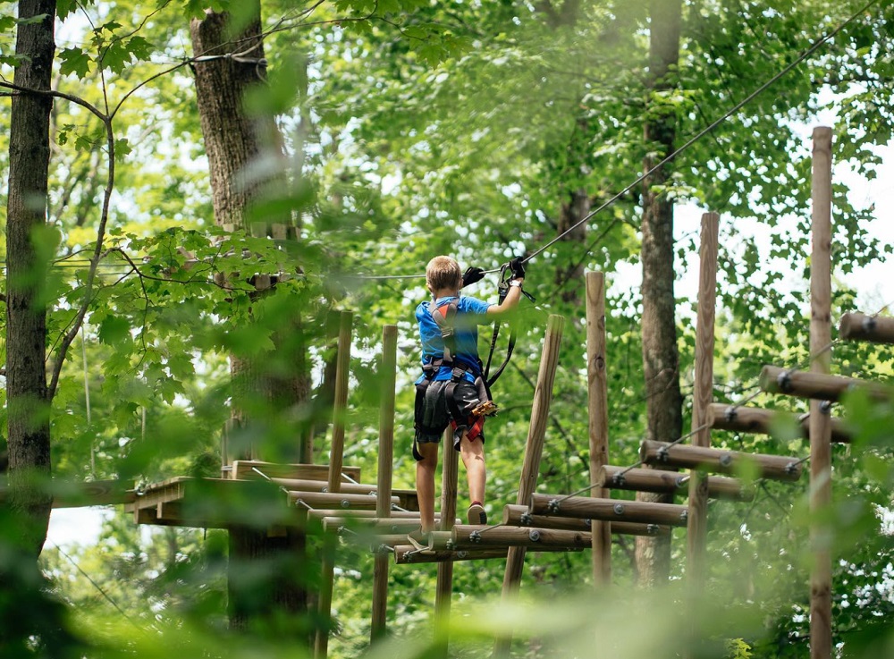 Treescape Adventure Park