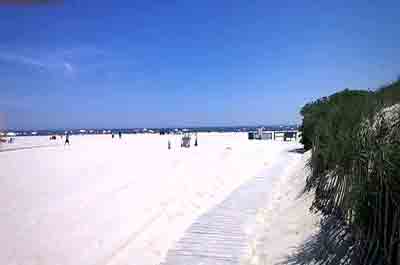 New Jersey Truisms and Humor