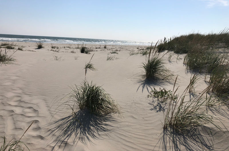 Two Mile Island Cape May