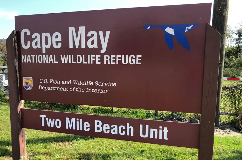 Cape May National Wildlife Refuge