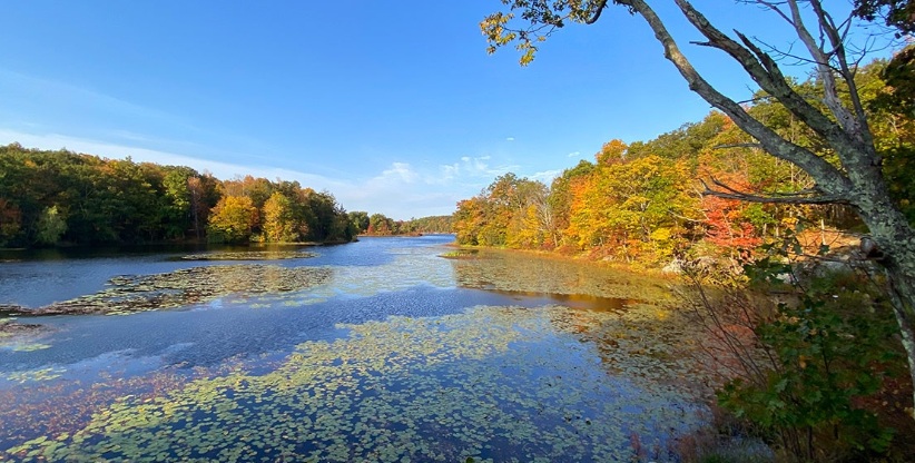 Wayawanda State Park