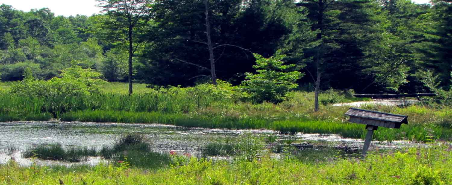 A visitors Guide to The top NJ wildlife and nature preserves