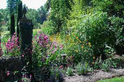 Willowwood Arboretum