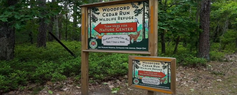 woodford-cedar-run-1000.jpg